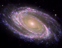 Galaxie M81